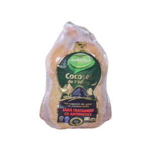 The Forest Rooster (Cocosel de padure) - Agricola International SA